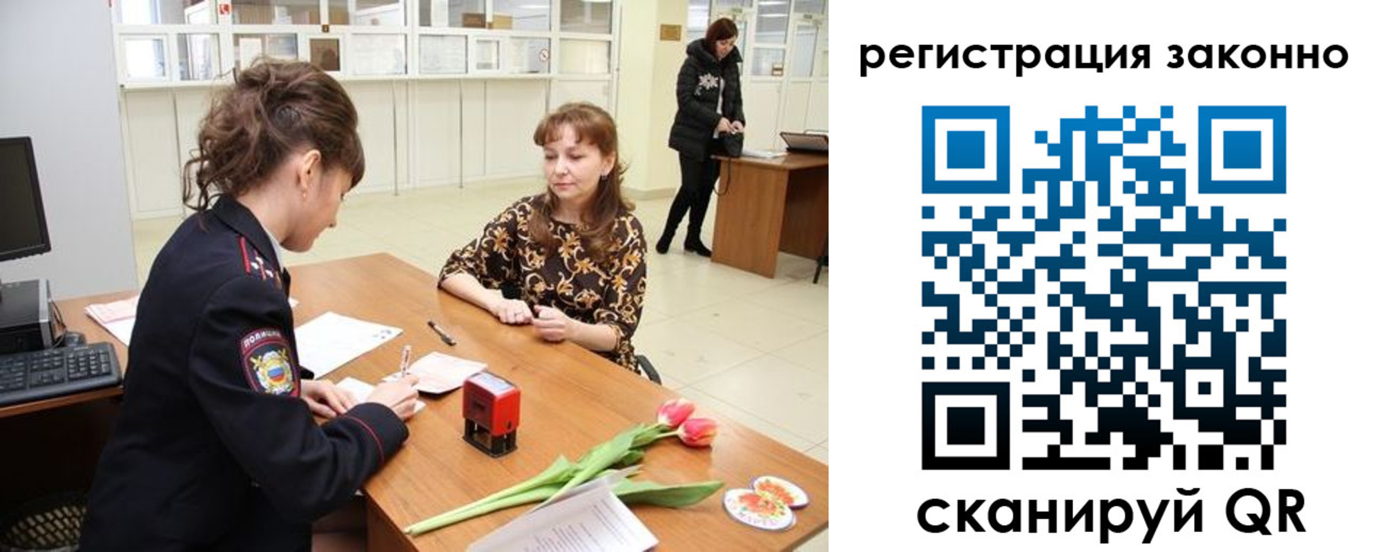 временная регистрация в Оленегорске